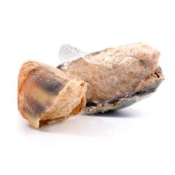 Stor kalveklov med kalunfyld