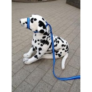 Anti-trk Laura Davis Line