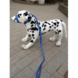 Anti-trk Laura Davis Line