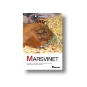 Marsvinet
