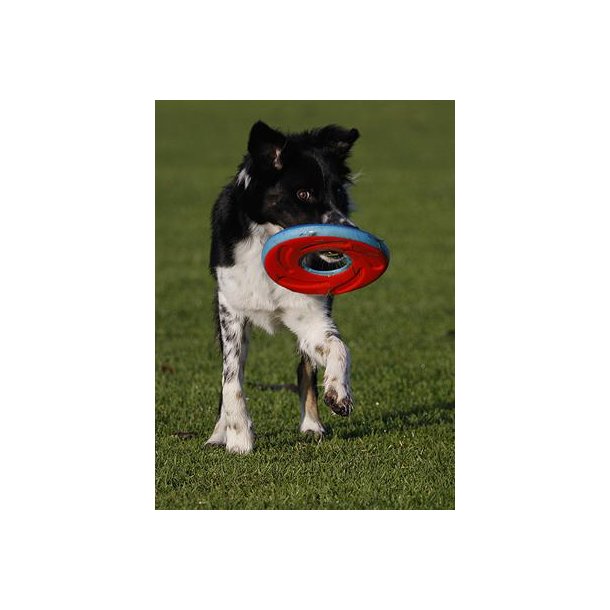 Chuckit Amphibious frisbee - Large