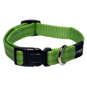 Rogz Hunde halsbnd i bld nylon 26-40 cm.