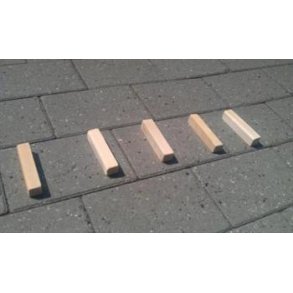 Trnings Sgepinde 100 stk.