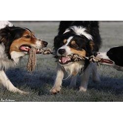 Dobbelt reb. Bomuld m. 3 knuder og hndtag